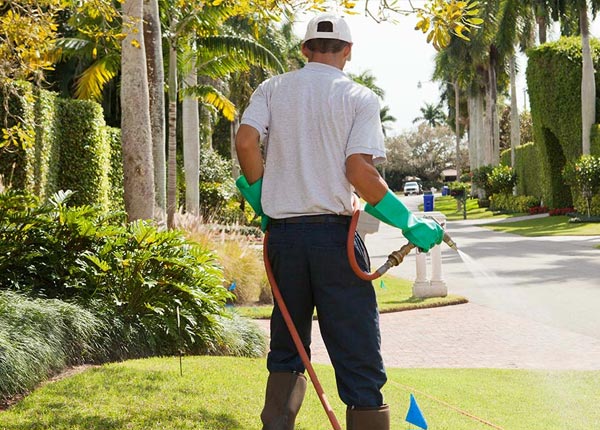 About Griswold IA Pest Control